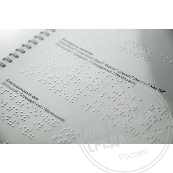 Лист с Брайлем и ч/б дублированием А3Аналоги: Тактильные знаки.рф; BrandPrint
