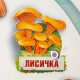 «Грибы», 440x640 мм
